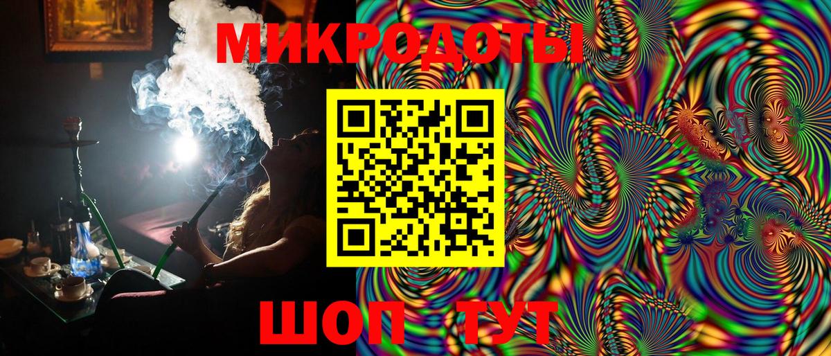 Будённовск  Псилоцибиновые грибы Psilocybine cubensis  Вход с VPN 