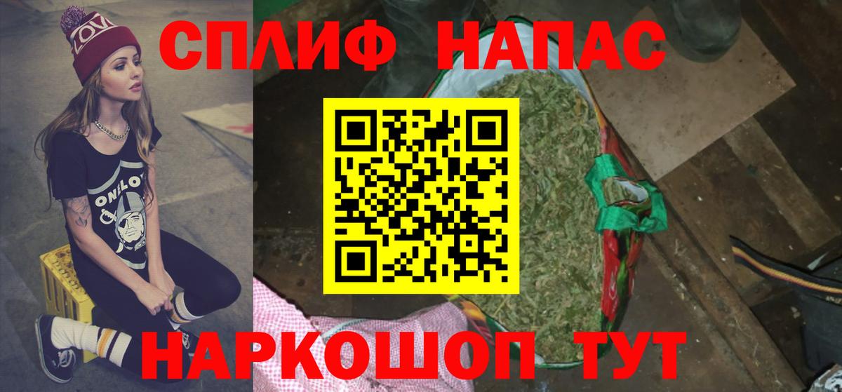 Бошки Шишки Amnesia Будённовск